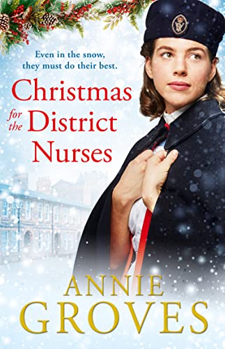 Christmas for the District Nurses book cover