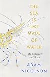 Life Between the Tides