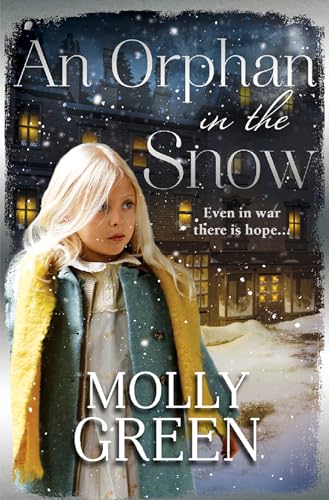 An Orphan in the Snow book cover