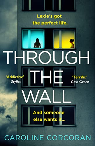 Through the Wall book cover