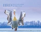 Bird Photographer Of The Year