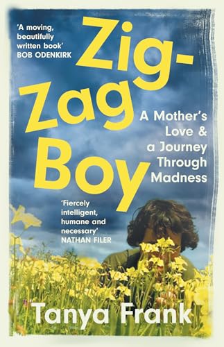 Cover of Zig-Zag Boy