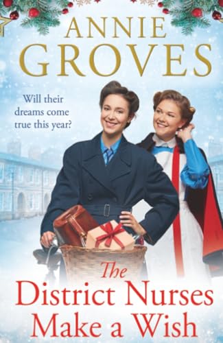 The District Nurses Make a Wish cover