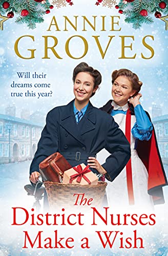 The District Nurses Make a Wish book cover
