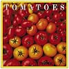 Burpee Tomatoes