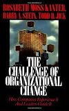 The Challenge of Organizational Change: How Companies Experience It and Leaders Guide It