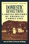 Domestic Revolutions: A Social History Of American Family Life
