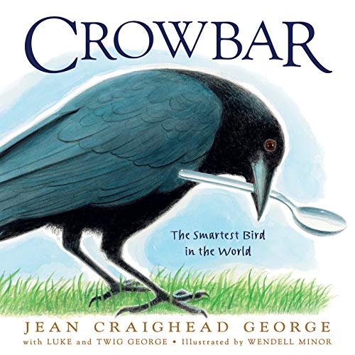 Crowbar: The Smartest Bird in the World book cover
