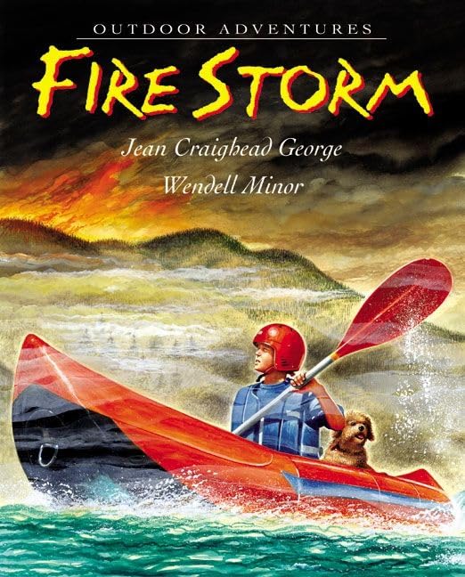 Fire Storm book cover