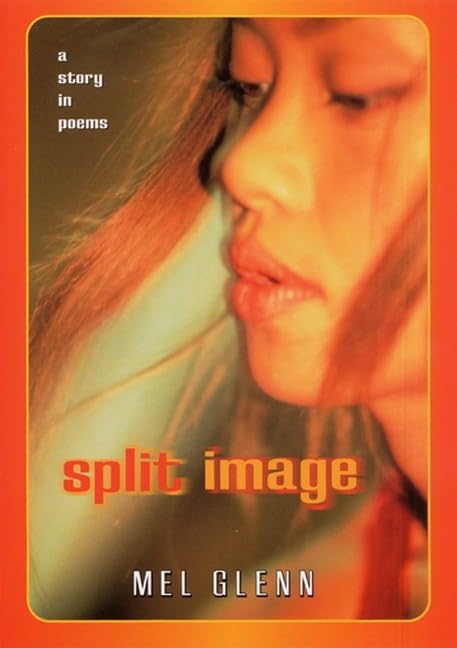 Cover of Split image