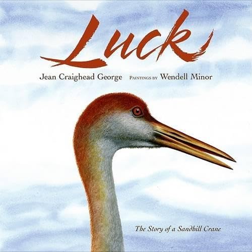Luck book cover