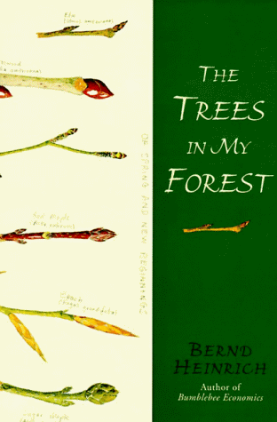 The Trees in My Forest book cover