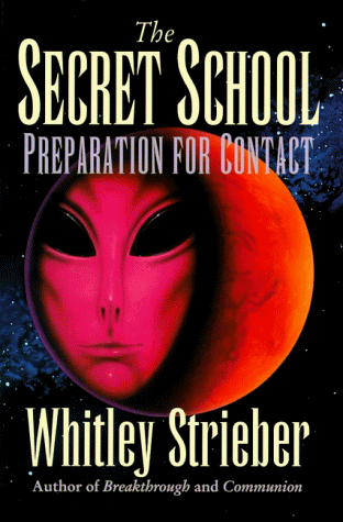 The Secret School book cover