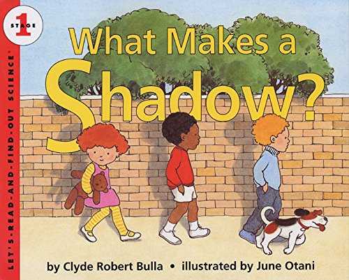 What Makes a Shadow? book cover