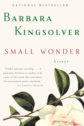 Small Wonder: Essays book cover
