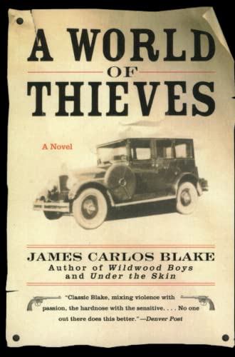 A World of Thieves book cover