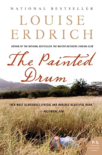 The Painted Drum book cover