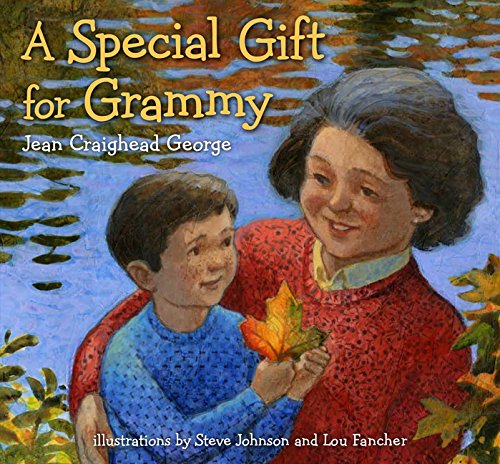 A Special Gift for Grammy book cover