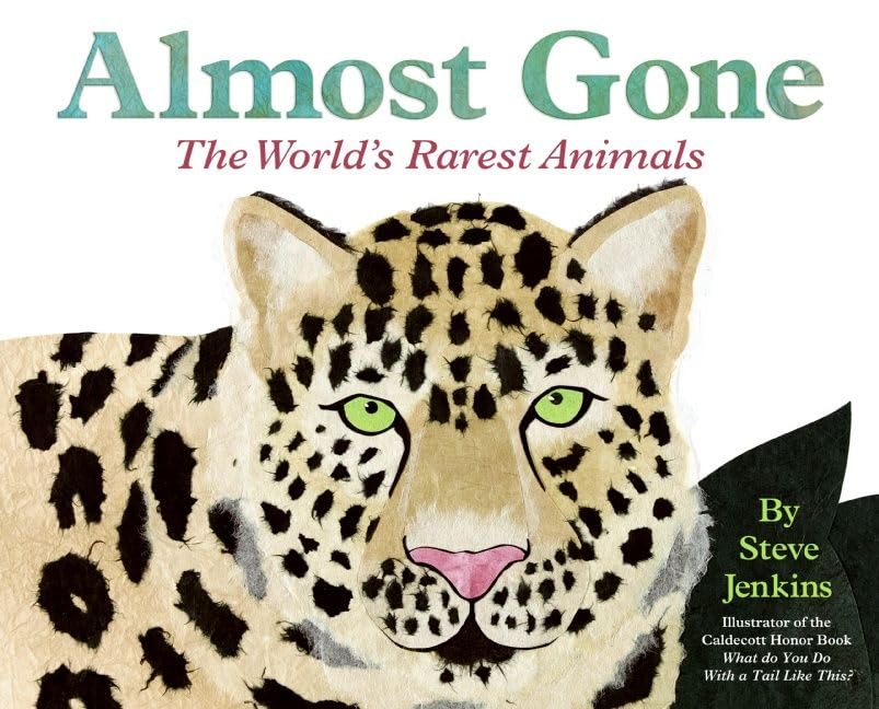 Almost Gone book cover