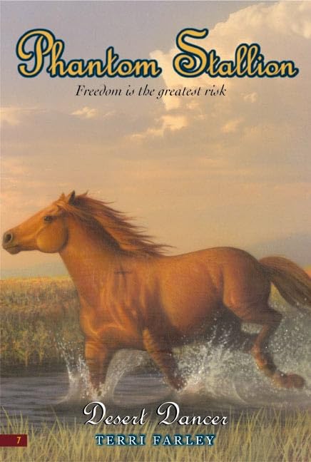 Desert Dancer book cover