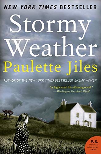 Stormy Weather book cover
