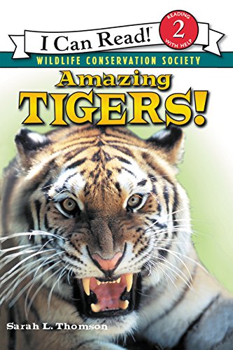 Amazing Tigers! (By: Sarah L. Thomson) cover