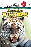 Amazing Tigers!