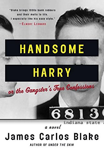 Handsome Harry book cover