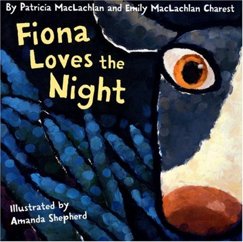 Fiona Loves the Night book cover