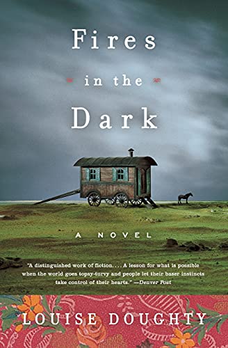 Fires in the Dark book cover