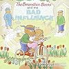 The Berenstain Bears and the Bad Influence