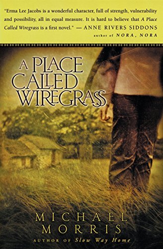 A Place Called Wiregrass book cover