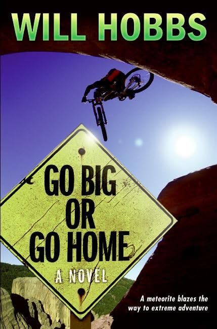 Go Big or Go Home book cover