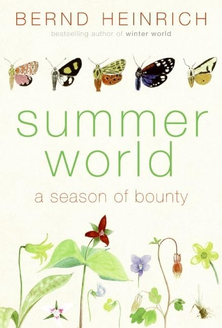 Summer World book cover