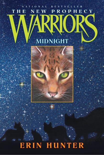Midnight book cover
