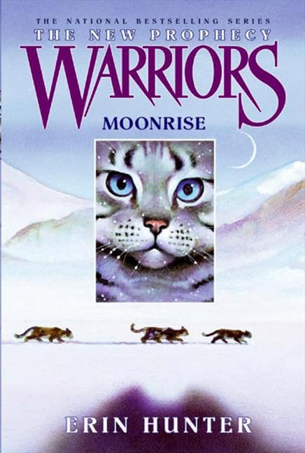 Moonrise book cover