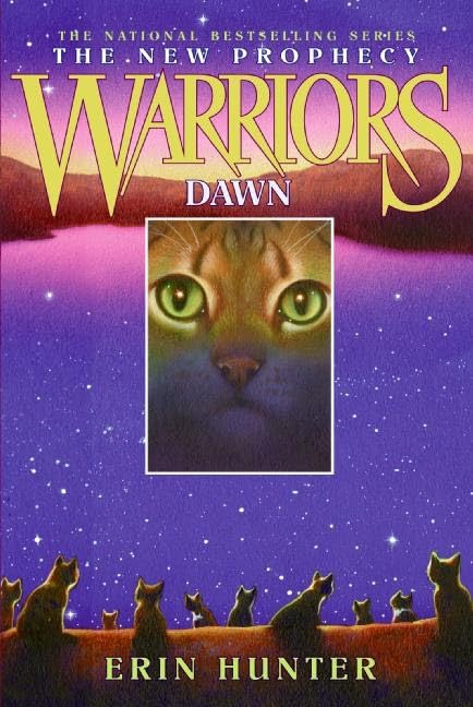 Dawn book cover