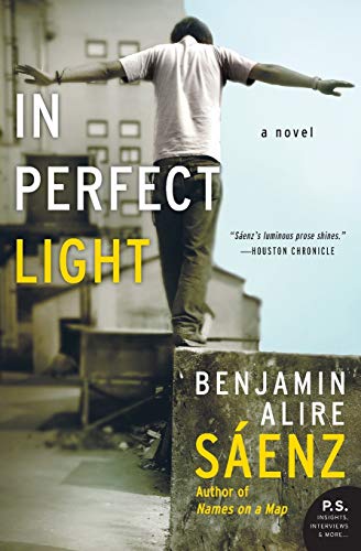 In Perfect Light book cover