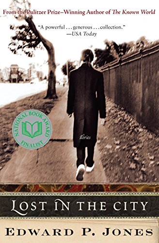Lost in the City book cover
