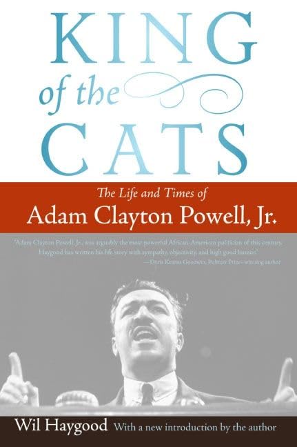 King of the Cats book cover