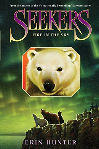 Fire in the Sky book cover