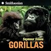 Gorillas