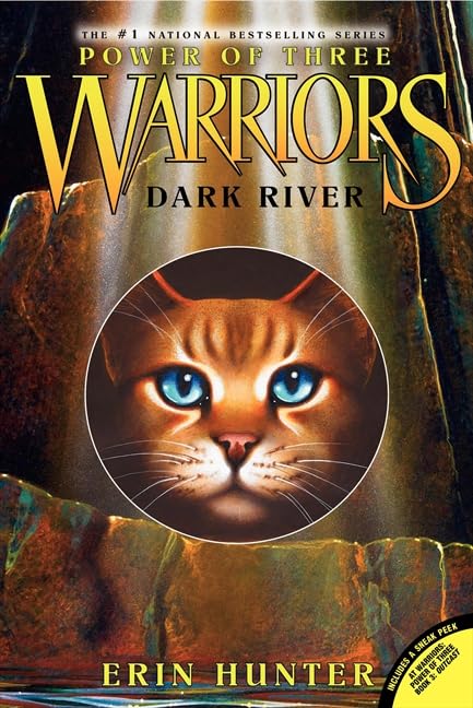 Dark River book cover