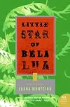 Little Star of Bela Lua: Stories from Brazil