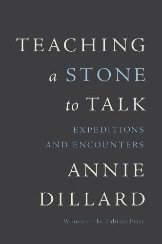 Teaching a Stone to Talk: Expeditions and Encounters book cover