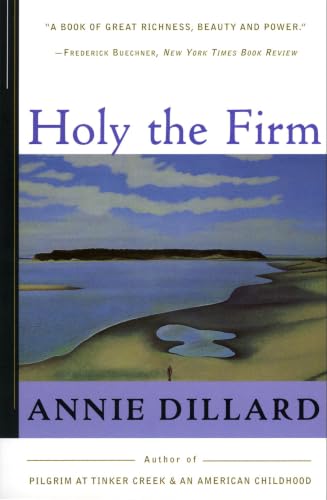 Holy the Firm book cover