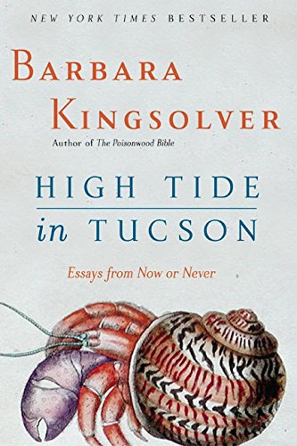 High Tide in Tucson: Essays from Now or Never book cover