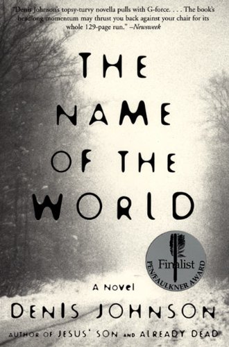 The Name of the World book cover