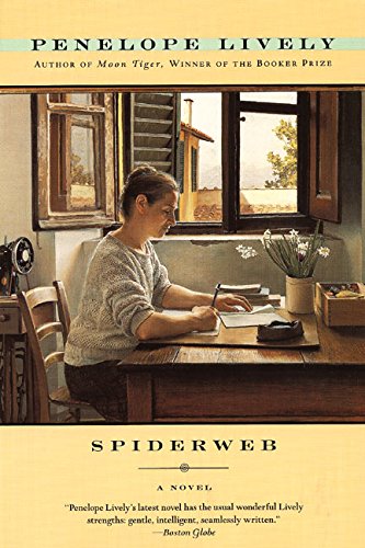 Spiderweb book cover