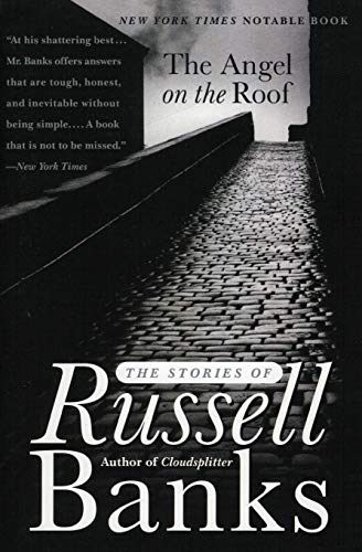 The Angel on the Roof book cover